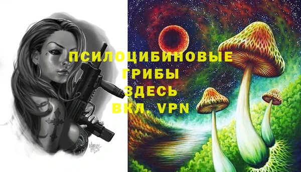 spice Баксан