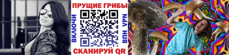 Галлюциногенные грибы прущие грибы  hydra как зайти  Большой Камень 